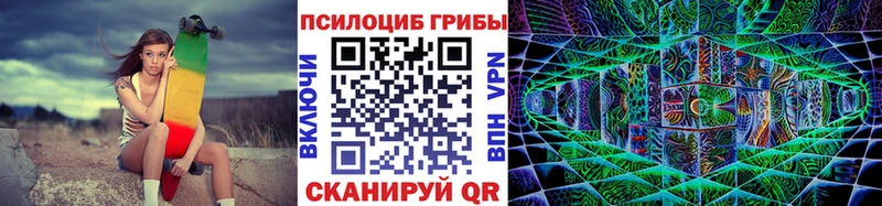 hydra зеркало  Севастополь  Псилоцибиновые грибы Psilocybe 