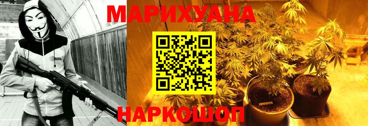 Бошки Шишки OG Kush  Бошки Шишки план  Севастополь  Конопля Amnesia  Вход с VPN 